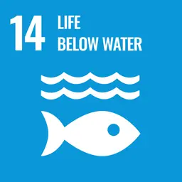 SDG 14: Life Below Water, a simple graphic representing ocean conservation and sustainability.